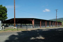 SCR Covered Arena Photo 1